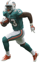 Miami Dolphins